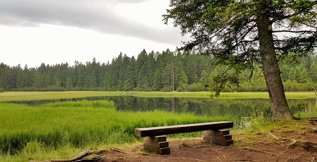 pohorje